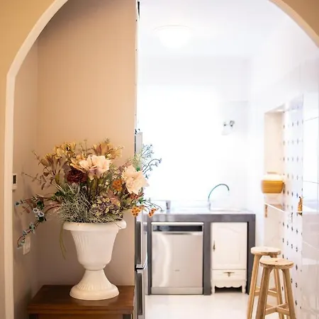 Klara - Jazine Zadar