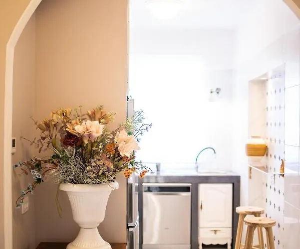 Klara - Jazine Zadar